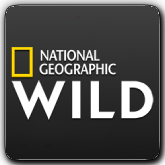 National Geographic Wild